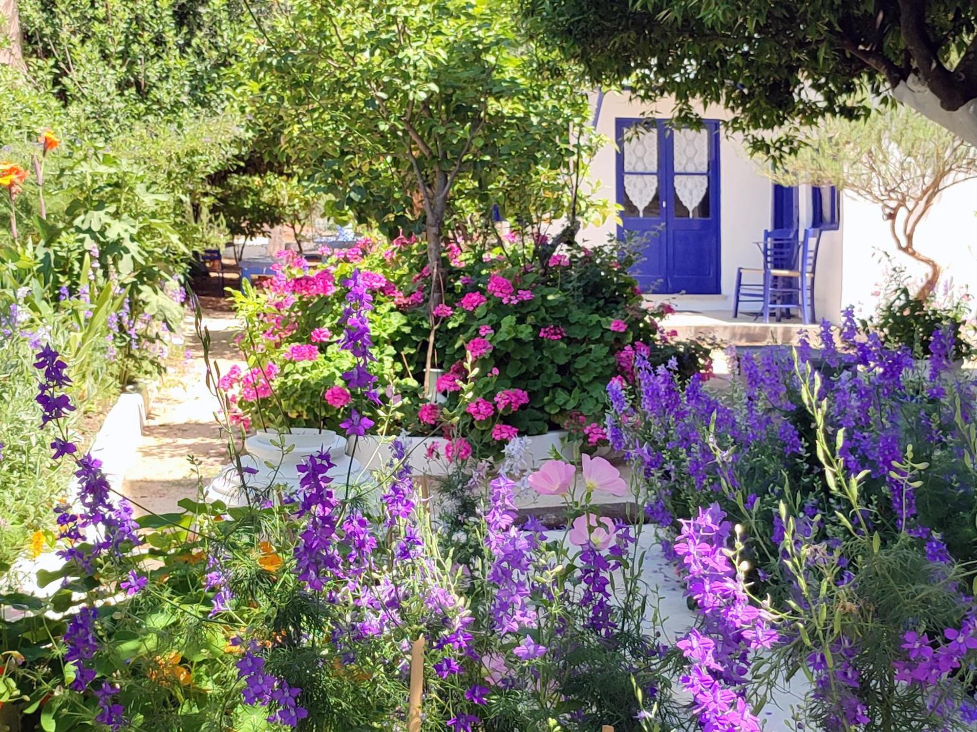 Anticlea II Villa Вати Екстериор снимка